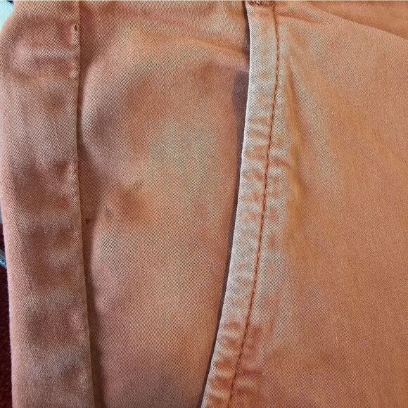 Mens AG Salmon The Griffin Short Size 32R - Picture 7 of 7